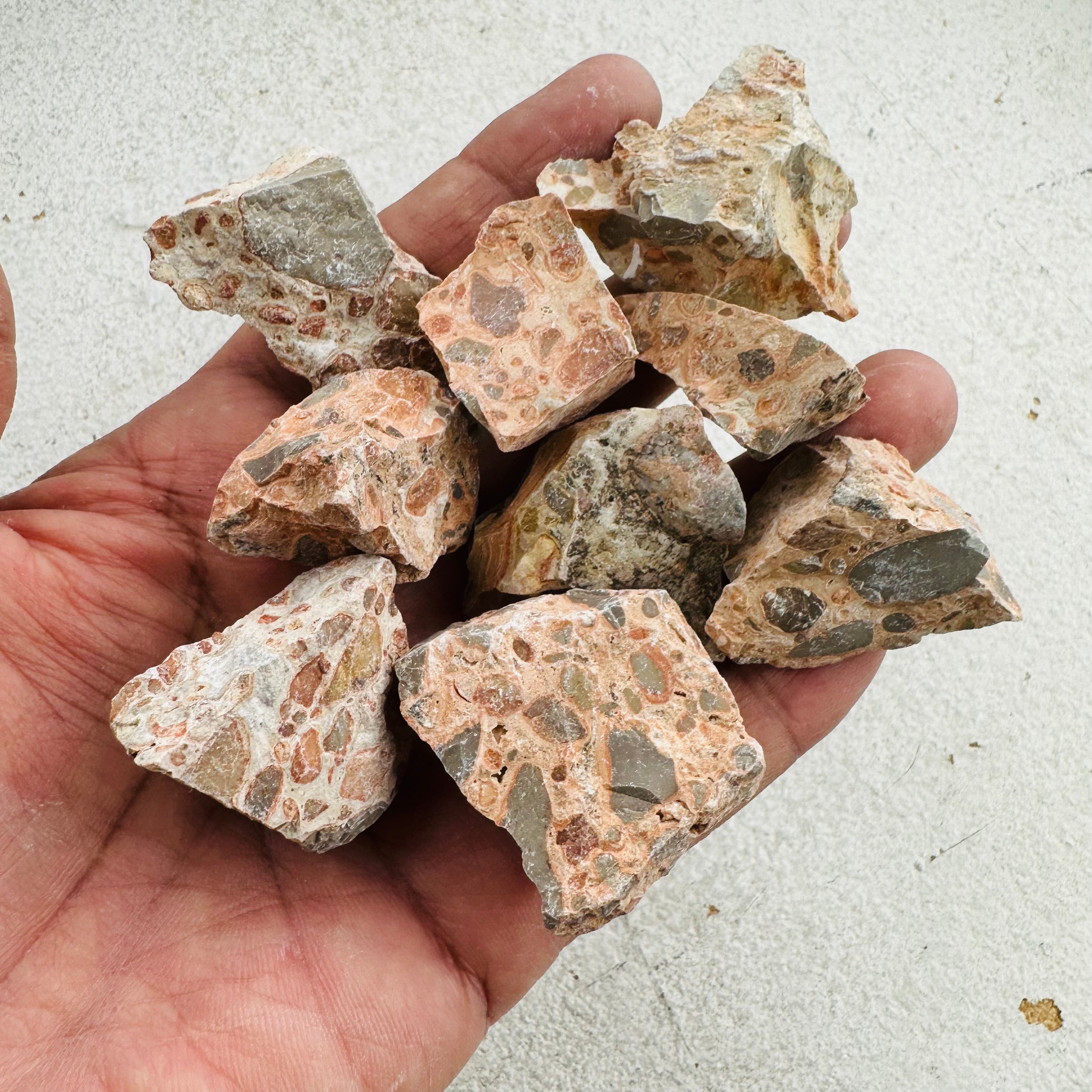 Leopard Jasper-Rough- 7-10pc Leopard Jasper-Rough- 7-10pc